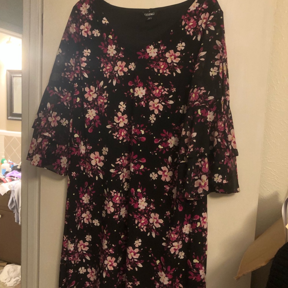 Plus size dress. Roz and Ali from DressBarn 3X